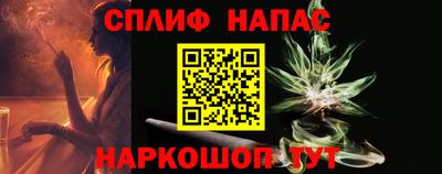 стаф Тула