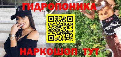 стаф Тула