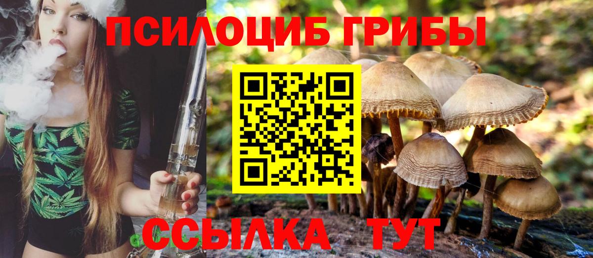 продажа наркотиков  Псилоцибиновые грибы Psilocybine cubensis  Вход с VPN  Новочебоксарск 
